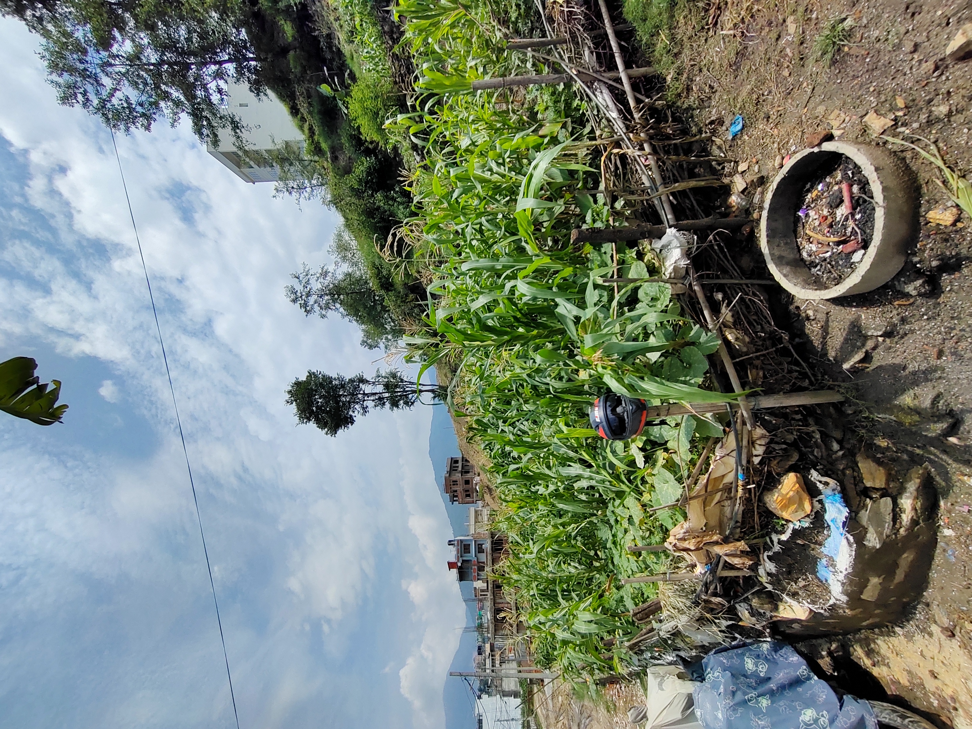 Picture of Budhanilkantha Municipality, Bagmati